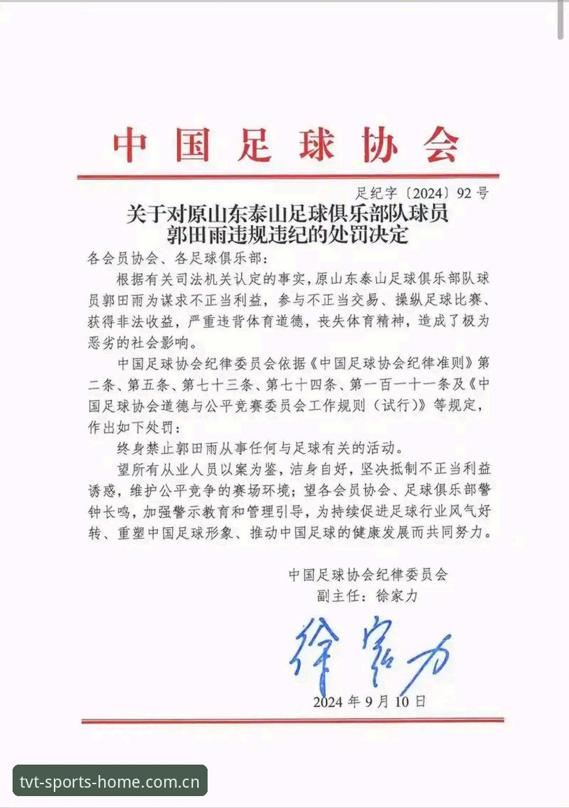 TVT体育iOS版 足协第三批禁足名单操作教程:从处罚明细看足球行业合规红线